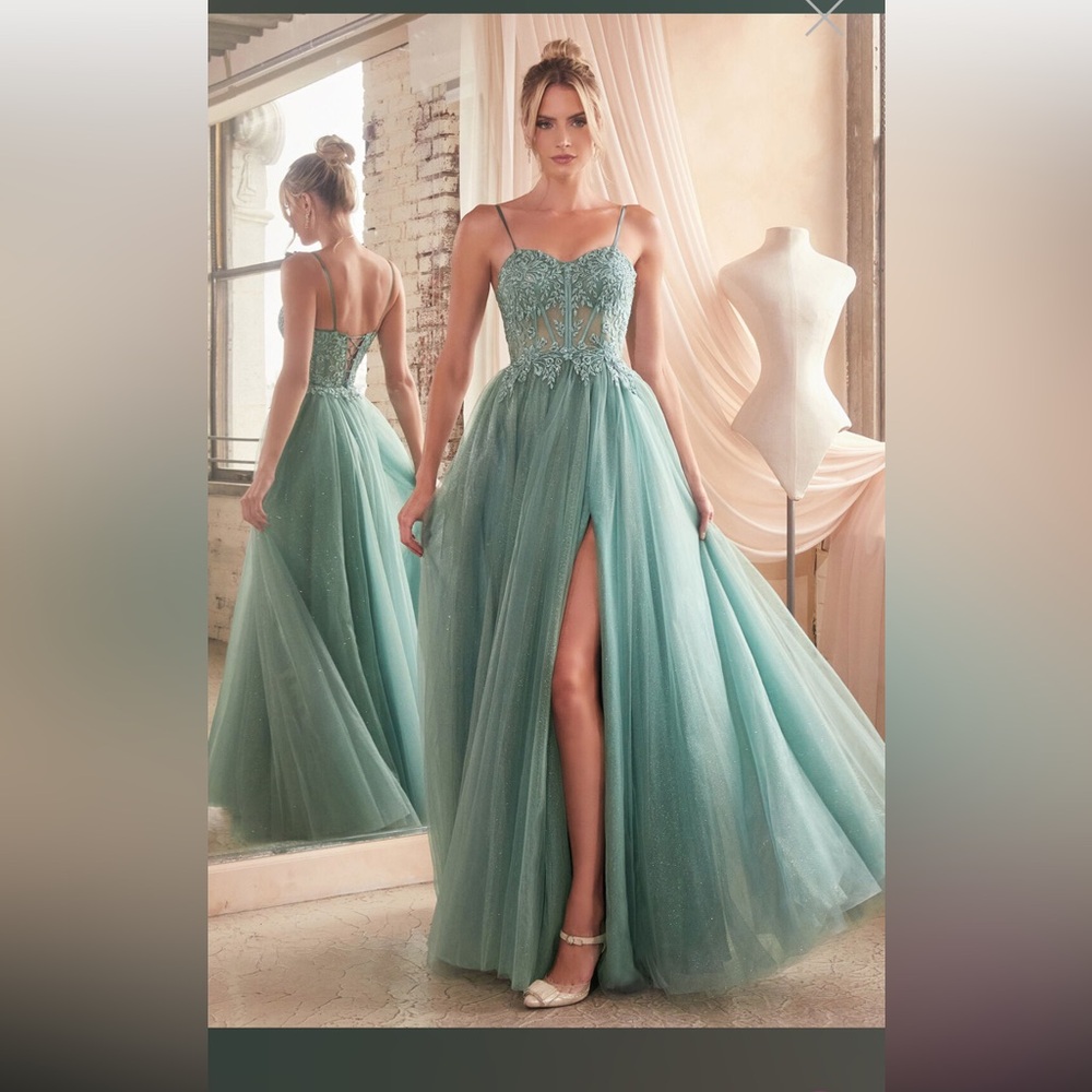 Ladivine C150 Sheer Bodice Tulle Skirt Dress